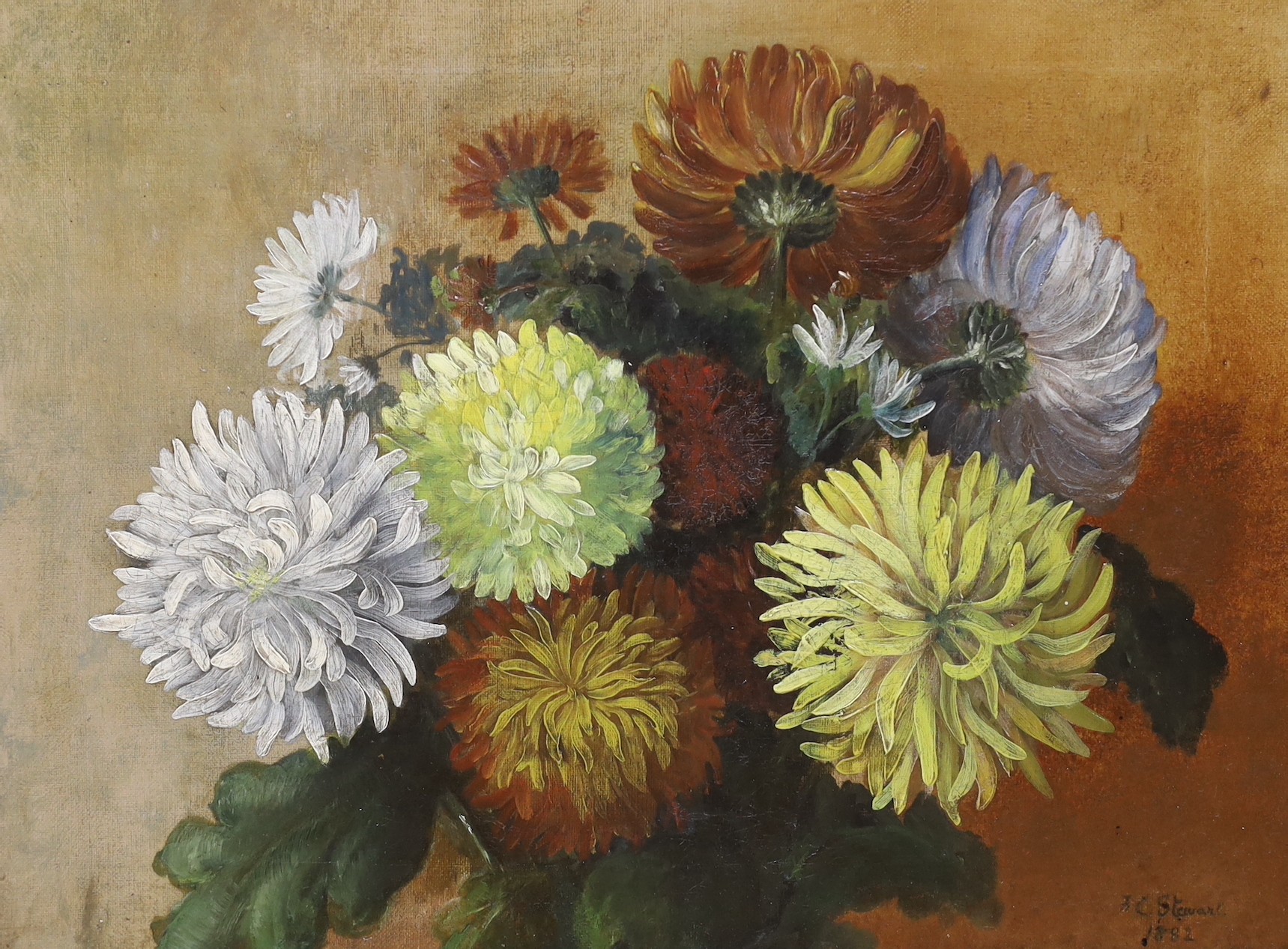 F.C. Stewart (19th C.), oil on canvas, Still life of chrysanthemums, signed and dated 1882, 31 x 42cm and a similar oil, signed Coblett, 39 x 34cm